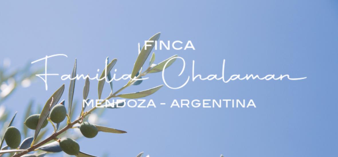 Logo con imagen